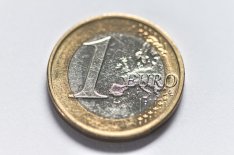 moneta - euro